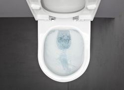 Inodoro Laufen Pro A (SOLO TAZA) LAU8259620000001