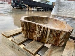 Lavabo de sobre encimera Petra de madera petrificada ART030380277