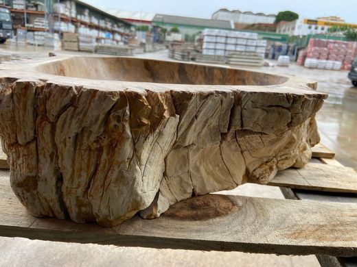 Lavabo de sobre encimera Petra de madera petrificada ART030380277