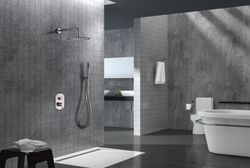 Conjunto ducha empotrada Treumal